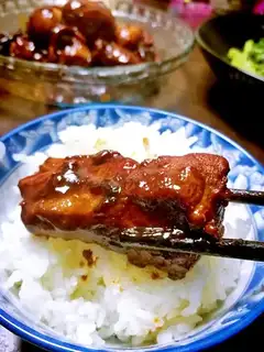 South rib