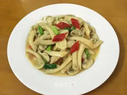 Fungus