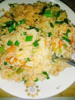 Tomato garlic fried rice