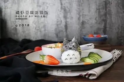 krill tofu cat rice