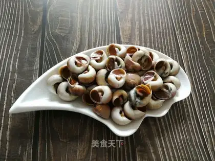 White conch