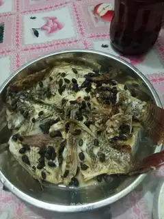 The beanfish