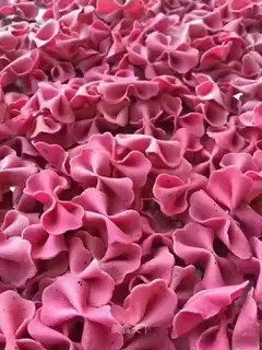 Flamingo butterflies