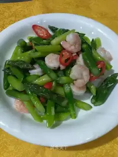 Shrimp