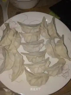 The dumplings