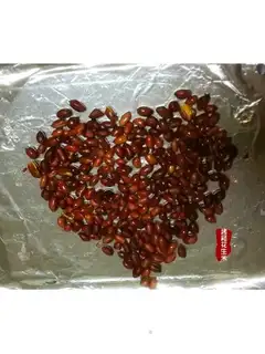 The oven peanut rice