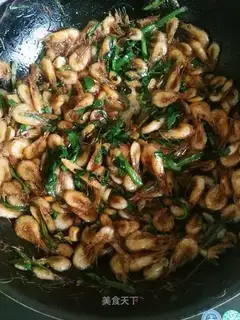 Shrimp