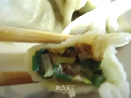 Pork, cabbage and leek dumplings