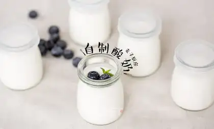 Homemade no yogurt