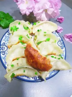 Fried dumplings