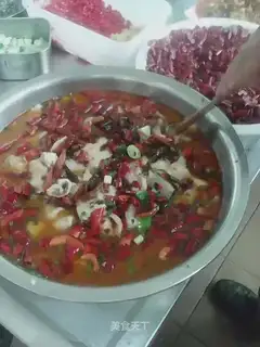Sichuan-Sixen Pillfish