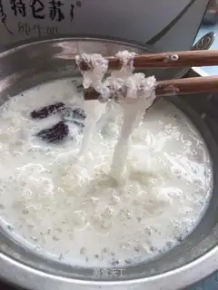 Red-tree milk steaming snow oats