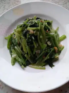 Pine pickles