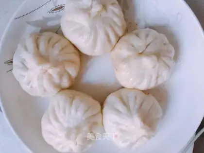 A meat bag with mushroom sauce
