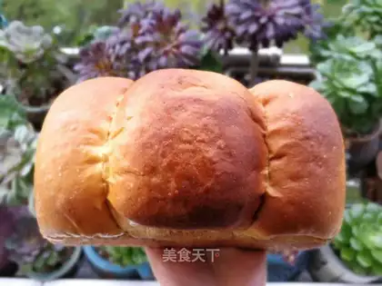 Hong Kong toast
