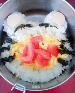 Cat lunch