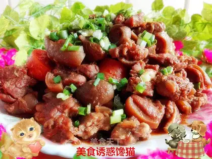 Red lamb