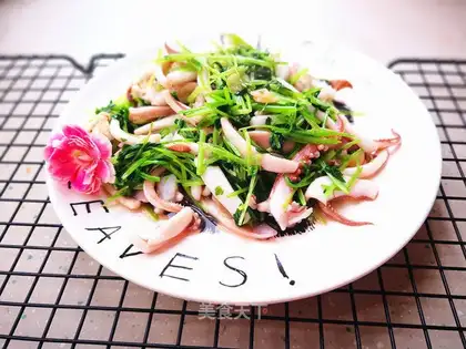 Squid