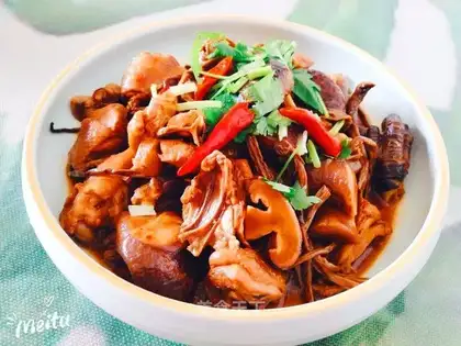 Tea mushroom chicken stew