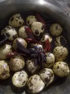 Five quail eggs