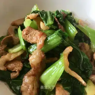 Pork is made of sea green