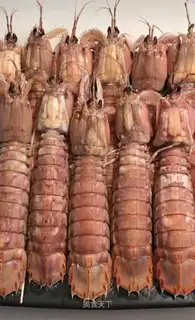 Shrimp