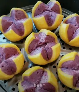 Potato pumpkin