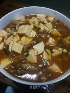 Meat tofu