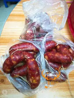 HOMEMADE LITTLE Q INTESTINES