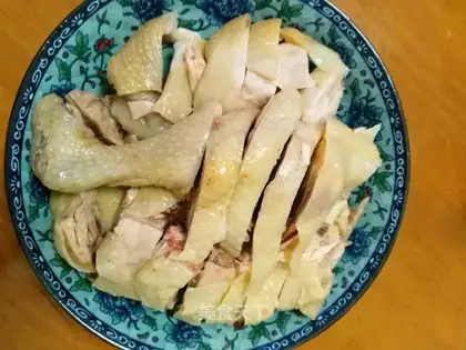 White pheasant