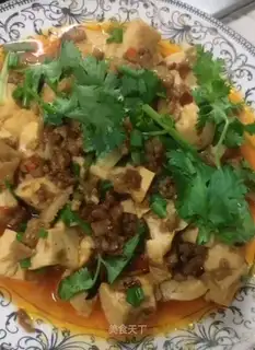 Meat tofu