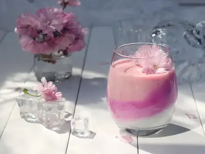 Gradually colored yogurt cup