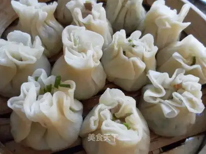 steamed dumplings