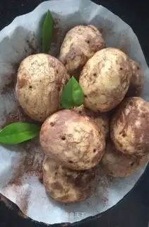 Potato bag