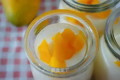 Coconut mango pudding