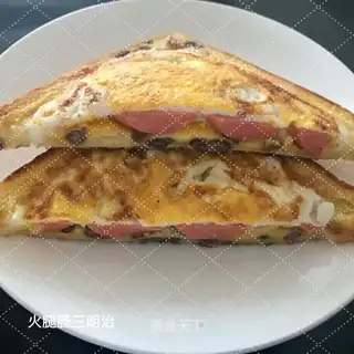 Ham sausage sandwich