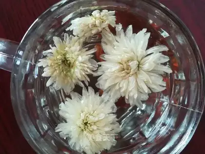An orange daisies