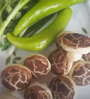Mushroom bag