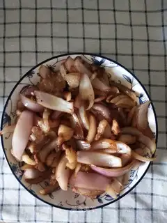 Onion fried meat