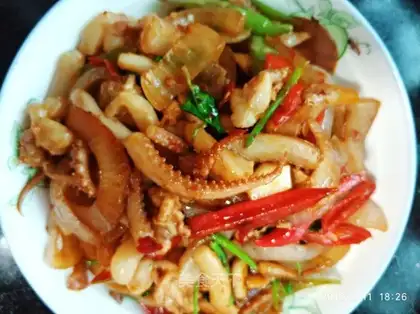 Squid