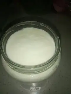 Homemade yogurt