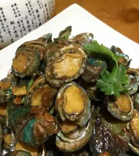 The little abalone