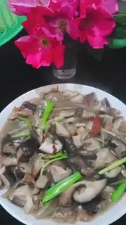 Frozen powder