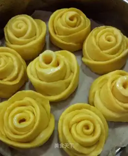 Milky roses