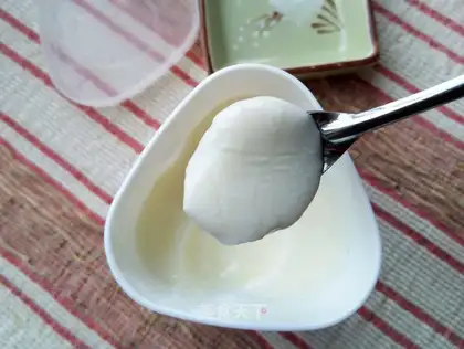 Homemade New Zealand honey yogurt