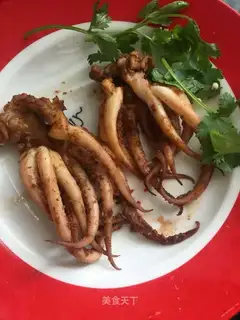 The roaster squid