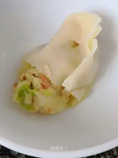 Frozen chicken dumplings