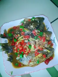 Red-burned minnow