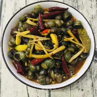 Snails