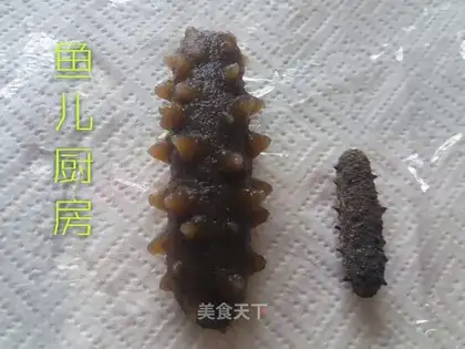 The dry sea cucumber